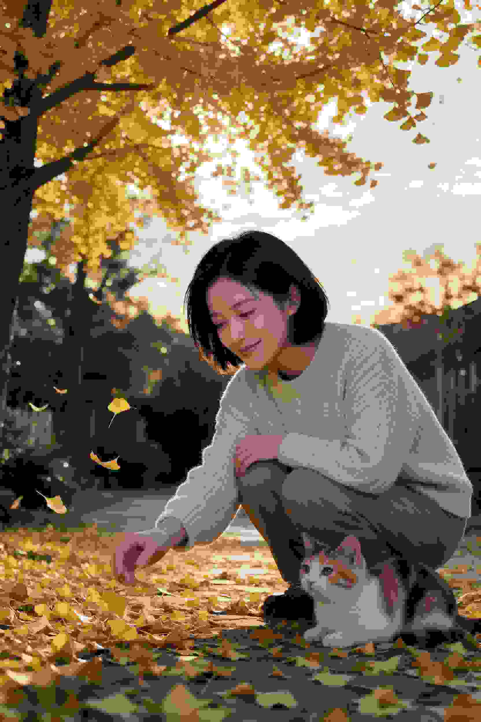 国剧5